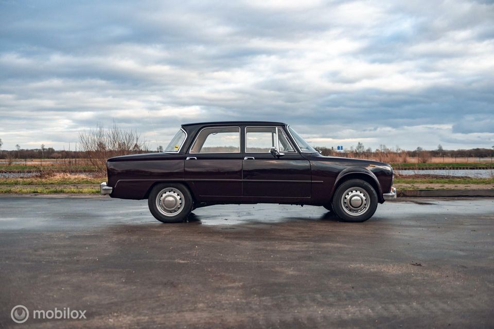 Alfa Romeo Giulia 1300Ti | Klassieker | Dellorto 