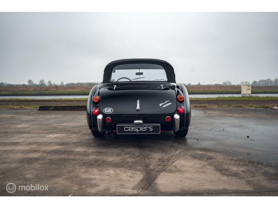 Austin Healey 3000 MK III | 'Old Boy Racer' in top staat