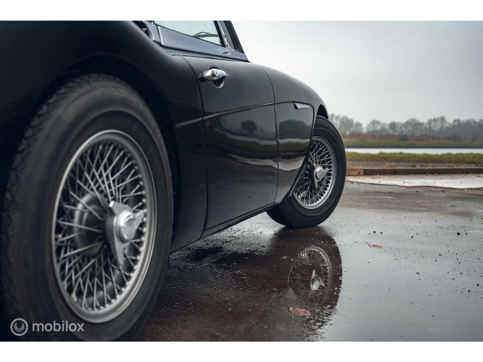 Austin Healey 3000 MK III | 'Old Boy Racer' in top staat