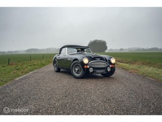 Austin Healey 3000 MK III | 'Old Boy Racer' in top staat